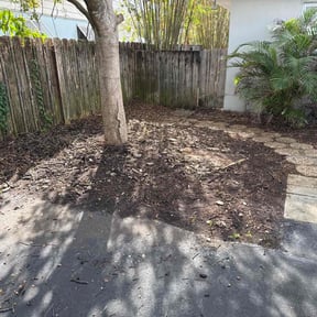 Leaf Removal by LSLTDallas/FortWorthTruGreen reviewed on June 4, 2025