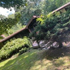 Bush Trimming by Scott Bensing Lawn Care reviewed on March 29, 2022