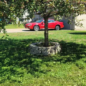 Bush Trimming by Native LandCare LLC reviewed on April 9, 2022