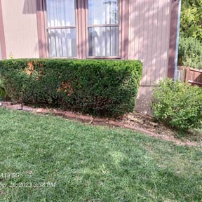 Bush Trimming by ARG landscape &amp; Lawn LLC reviewed on August 14, 2025
