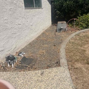 Weeding by Flowers Landscaping reviewed on December 5, 2023