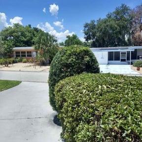 Bush Trimming by Groves Lawn Care reviewed on June 26, 2022