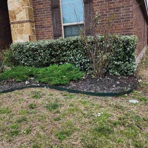 Bush Trimming by Excelastan L.L.C. reviewed on May 23, 2025