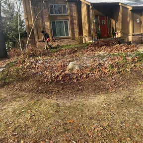 Leaf Removal by Cherry Bomb Lawn Care reviewed on July 7, 2022