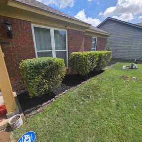 Flower Bed Weeding by PeachyGarden reviewed on March 11, 2025