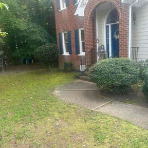 Bush Trimming by Nice yards reviewed on April 24, 2022