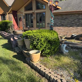 Bush Trimming by Thomas Kelly Home Services reviewed on August 9, 2022