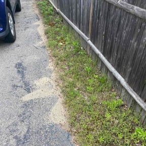 Cleanups by Peak Lighting and Landscape reviewed on April 26, 2022