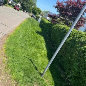 Bush Trimming by deeper roots lawncare reviewed on May 17, 2022
