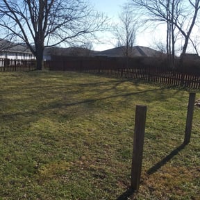 Bush Trimming by Twins lawn care reviewed on June 30, 2025