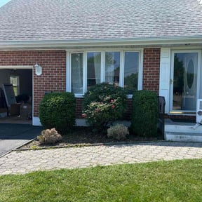 Bush Trimming by AMERICAN LANDSCAPING LLC reviewed on May 25, 2022