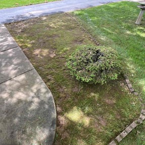 Flower Bed Weeding by Starling&#039;s lawn care llc reviewed on November 21, 2022