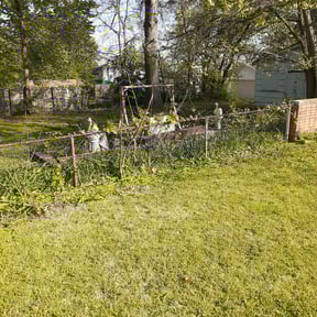 Bush Trimming by St Charles Services reviewed on November 1, 2024