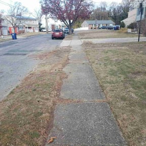 Leaf Removal by A Couple of Guys reviewed on July 25, 2022