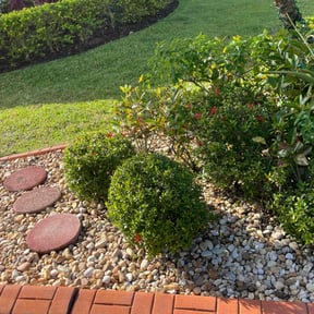 Bush Trimming by S&T OutDoors Solutions reviewed on August 24, 2021