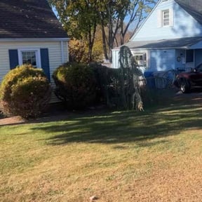 Leaf Removal by Getyourlawncut.com reviewed on April 28, 2022
