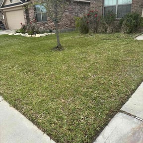 Weeding by G&G landscaping LLC reviewed on June 3, 2022