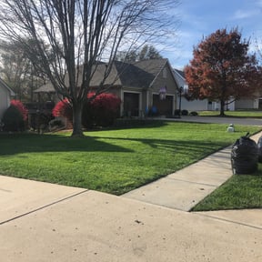 Leaf Removal by LSLTDallas/FortWorthTruGreen reviewed on October 14, 2024