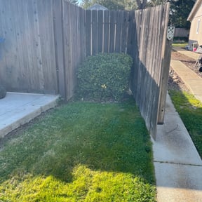 Bush Trimming by TJ's Touch reviewed on December 27, 2021