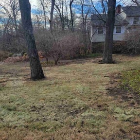 Leaf Removal by A.M. Lawncare Services LLC reviewed on July 21, 2022