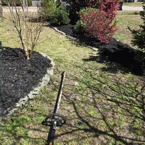 Mulching by Hy-C  efficiency services reviewed on June 10, 2025