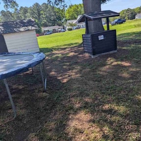 Leaf Removal by Jones lawncare and repair llc reviewed on August 3, 2024
