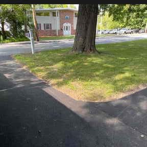 Cleanups by ECO Cuts NW reviewed on May 26, 2022