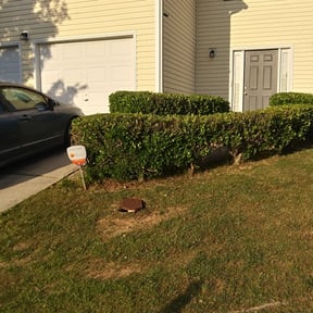 Bush Trimming by DILLARD'S LANDSCAPING reviewed on November 3, 2024