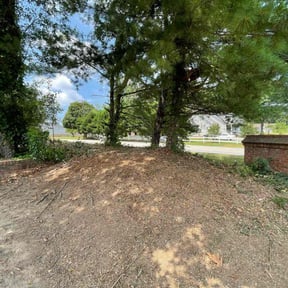 Bush Trimming by Sloan lawn care reviewed on April 9, 2025