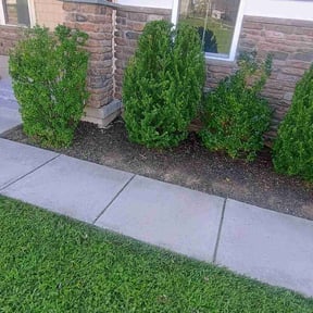 Weeding by Jones landscaping reviewed on May 14, 2022