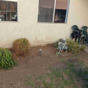 Bush Trimming by Livingoak landscaping and lawn care reviewed on June 11, 2020