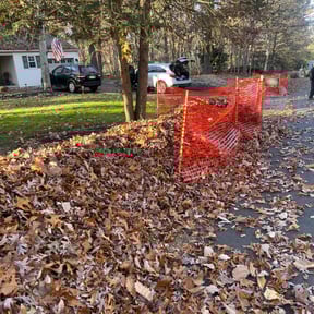 Leaf Removal by DDIY LAWN AND HOME reviewed on July 17, 2022