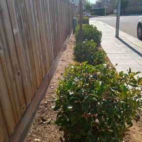 Bush Trimming by GG Landscaping reviewed on May 29, 2025