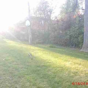 Cleanups by GTS Lawn Company reviewed on August 11, 2025