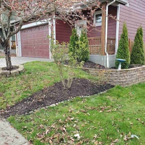 Bush Trimming by Alwright landscaping and lawncare llc reviewed on August 11, 2025