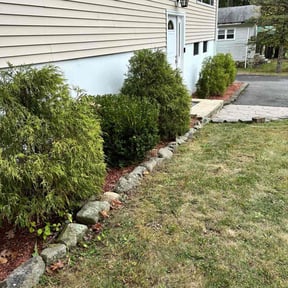Bush Trimming by Competitive Edge Field & Tree reviewed on July 18, 2022