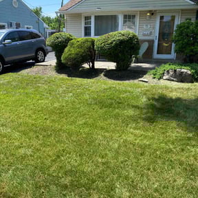 Bush Trimming by Top Notch Lawn Care& MAINTENCE reviewed on May 16, 2022