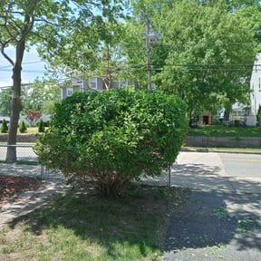 Bush Trimming by JohnRobert Lawn&Garden reviewed on June 4, 2022