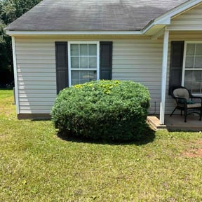 Bush Trimming by Osment Lawn Care reviewed on August 13, 2025