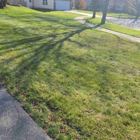 Cleanups by The Helping Pro reviewed on June 24, 2022