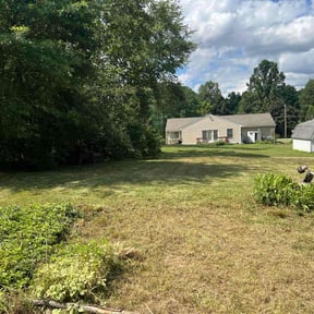 Cleanups by Steve's Lawn Care &amp; More reviewed on June 30, 2025