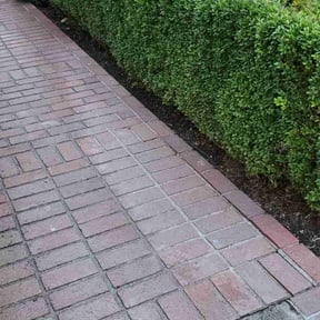 Flower Bed Weeding by BiG Lawn Service reviewed on June 22, 2020