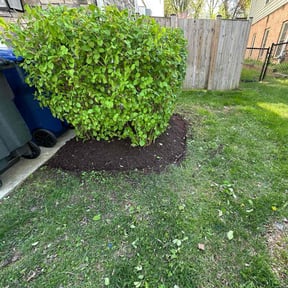 Mulching by Eduard's Mowing reviewed on April 7, 2022