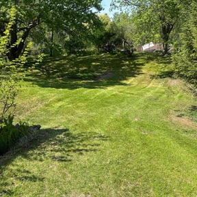Leaf Removal by MJ Lawn reviewed on July 11, 2022