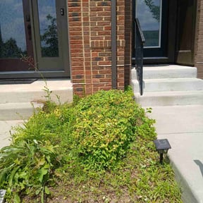 Bush Trimming by Rodriguez Lawn Care LLC reviewed on March 10, 2025