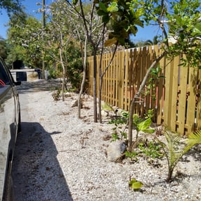 Leaf Removal by LSLTDallas/FortWorthTruGreen reviewed on February 3, 2025