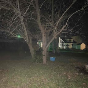 Leaf Removal by PNC Delivery Express reviewed on October 3, 2024