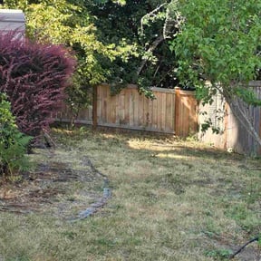 Cleanups by Big Boy Landscaping reviewed on July 20, 2025
