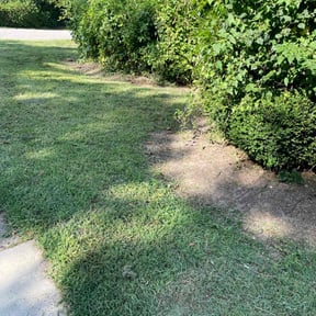 Cleanups by GreenThumb Landscaping reviewed on July 8, 2022
