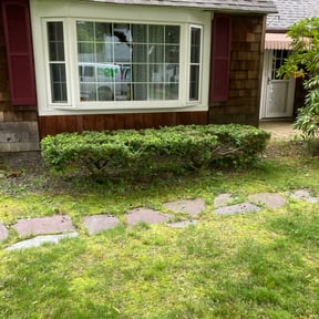 Bush Trimming by BRDOC - Lawn Care reviewed on March 25, 2022